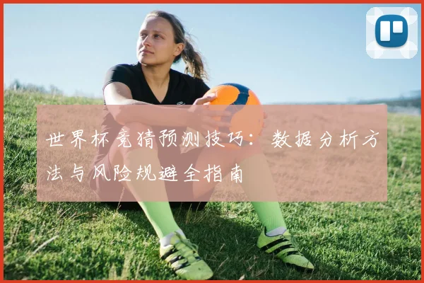 世界杯竞猜预测技巧：数据分析方法与风险规避全指南